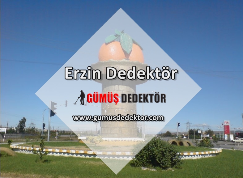 Erzin Dedektör